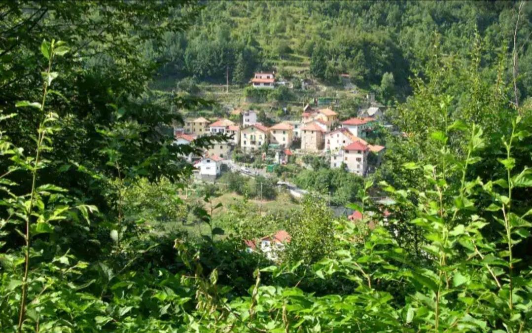 Il Non Ti Scordar Di Me Βίλα Valbravenna Εξωτερικό φωτογραφία