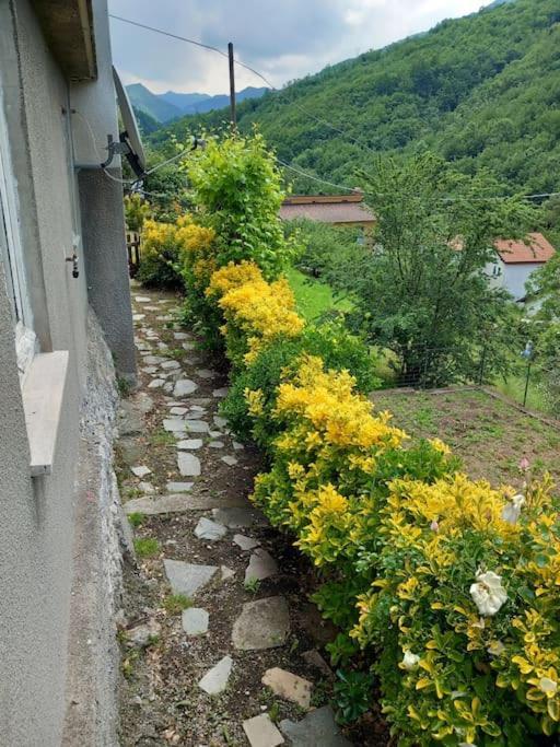 Il Non Ti Scordar Di Me Βίλα Valbravenna Εξωτερικό φωτογραφία