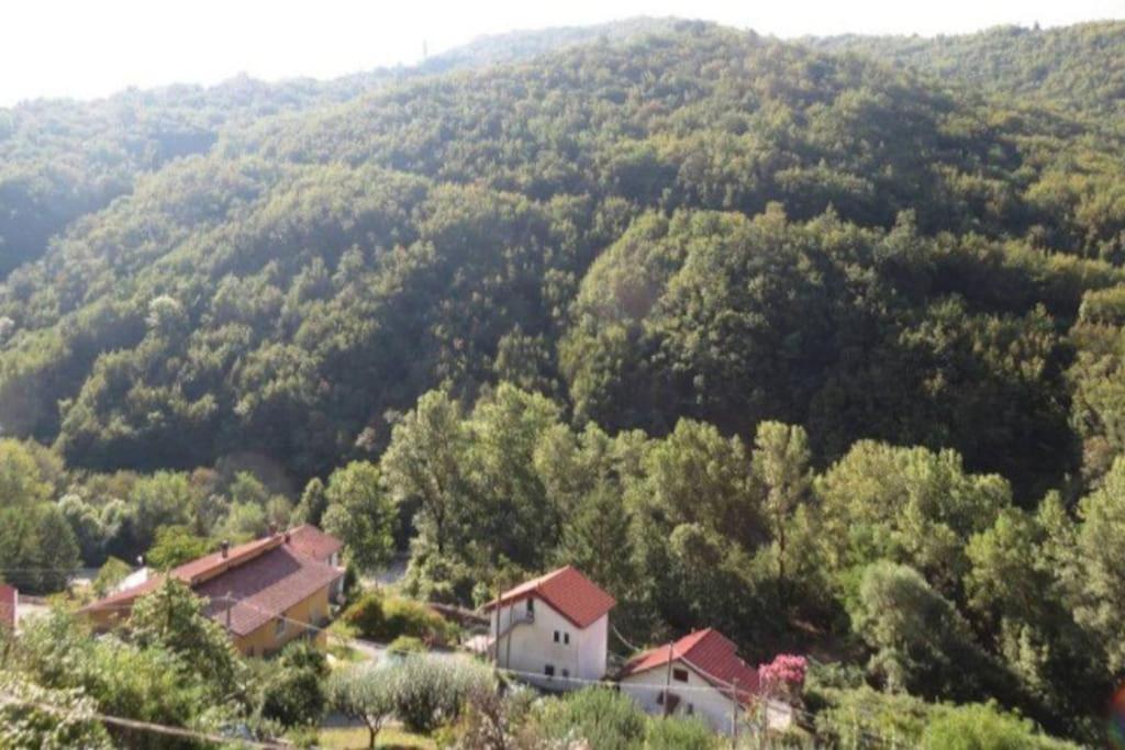 Il Non Ti Scordar Di Me Βίλα Valbravenna Εξωτερικό φωτογραφία
